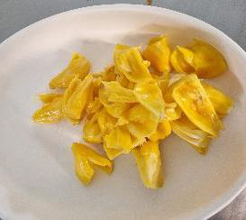 Genussfertig: Das Fruchtfleisch der reifen Jackfruit wird aus der großen Frucht herausgelöst und frisch gegessen.