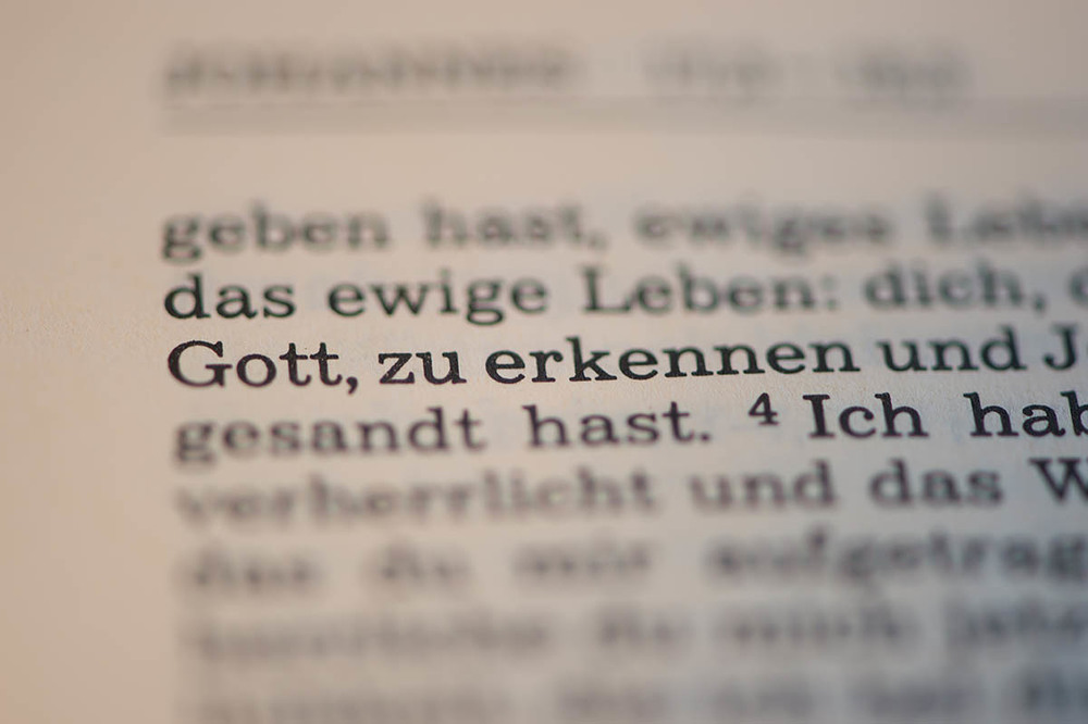 Salvatorianer-Bibel: Gott zu erkennen